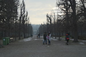 Il parco del castello di Schonbrun.