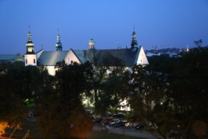 Vista dal Castello di Wawel.
