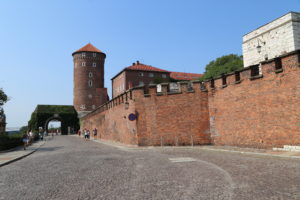Il Castello di Wawel.
