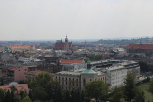 Vista dal Castello di Wawel.