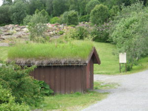 Tromso, il giardino botanico.
