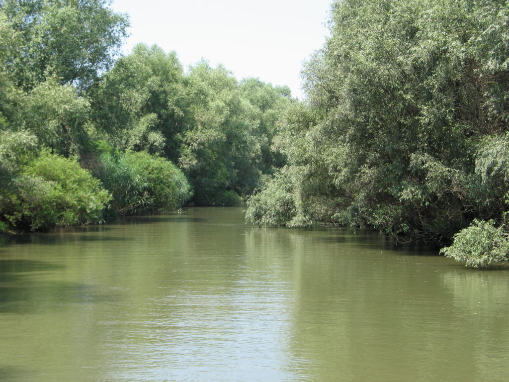 Tulcea, il delta del Danubio.