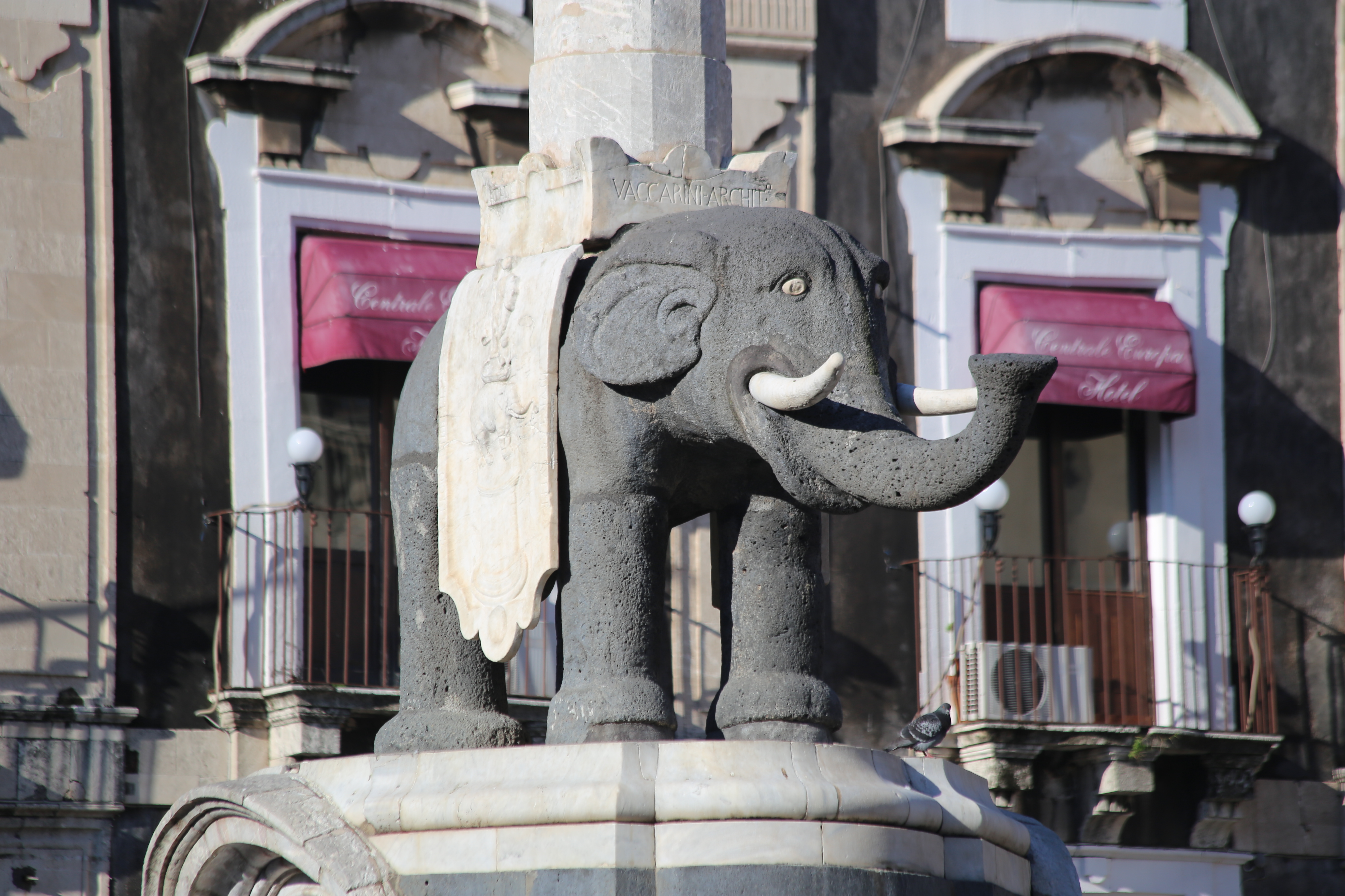 Piazza del Duomo, particolare della fontana dell'elefante.