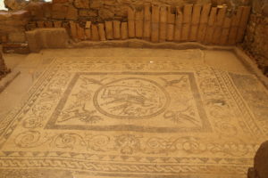 Il parco archeologico - I mosaici.