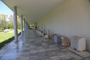 Il Museo Archeologico - Reperti.