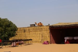 Una fattoria nel Deserto