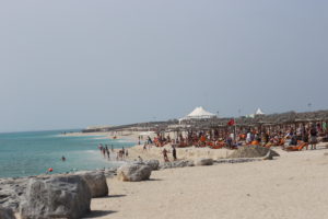 Spiaggia delle navi da crociera di Sir Bani Yas